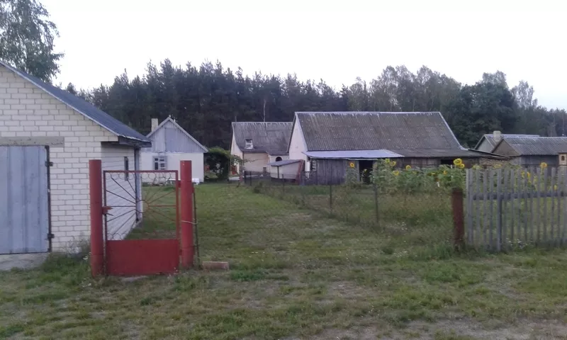 Дом с удобствами в а.г. Лесная в 30-ти км от г. Барановичи 4